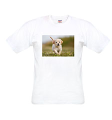 Tshirtkind