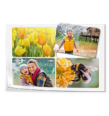 Magneetstickers (4 stuks)
