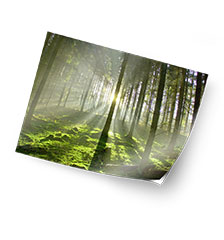 Foto op plakfolie 60×80 cm (zijdeglans)