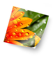 Foto op plakfolie 30×30 cm (zijdeglans)